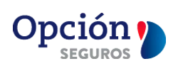 opcion seguros